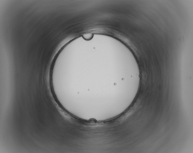 X0000111851426200908201228