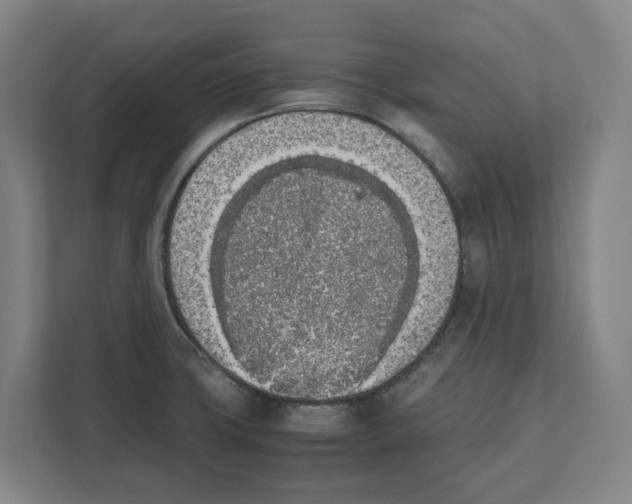 X0000111851427200908201228