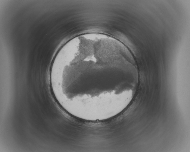 X0000111851428200908201228