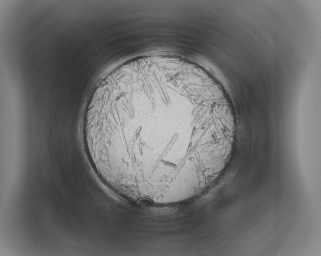 X0000111851429200908201228