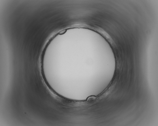 X0000111851430200908201228