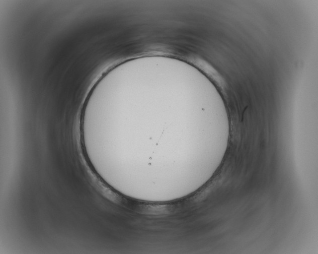 X0000111851431200908201228