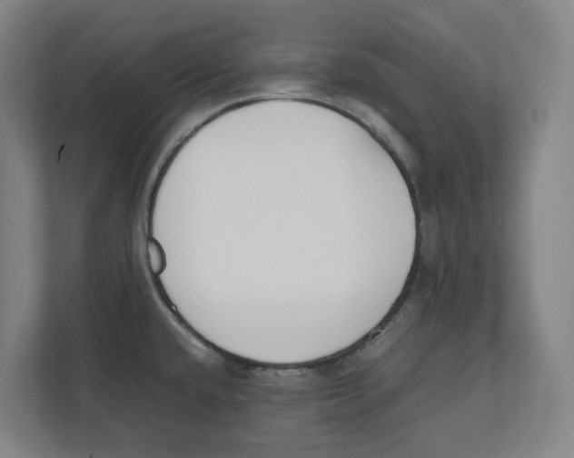 X0000111851432200908201228