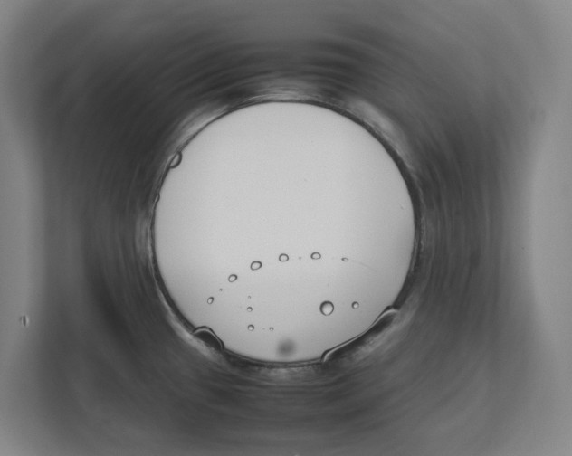 X0000111851433200908201228