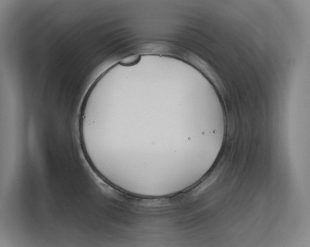 X0000111851434200908201228