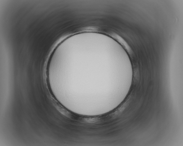 X0000111851435200908201228