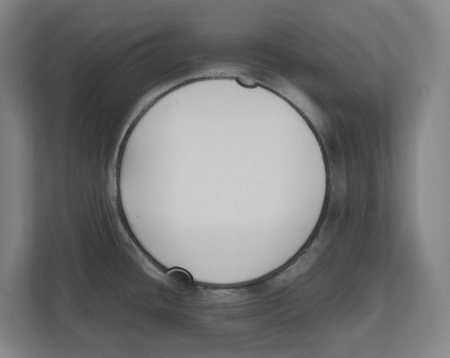 X0000111851436200908201228