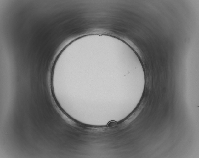 X0000111851438200908201228