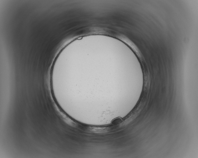 X0000111851439200908201228