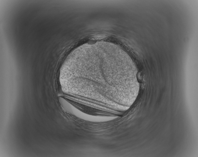 X0000111851441200908201227