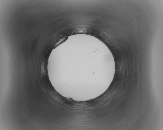 X0000111851442200908201227