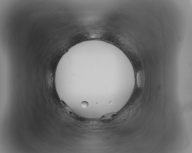 X0000111851443200908201227