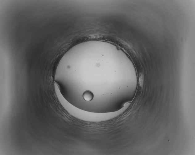 X0000111851444200908201227