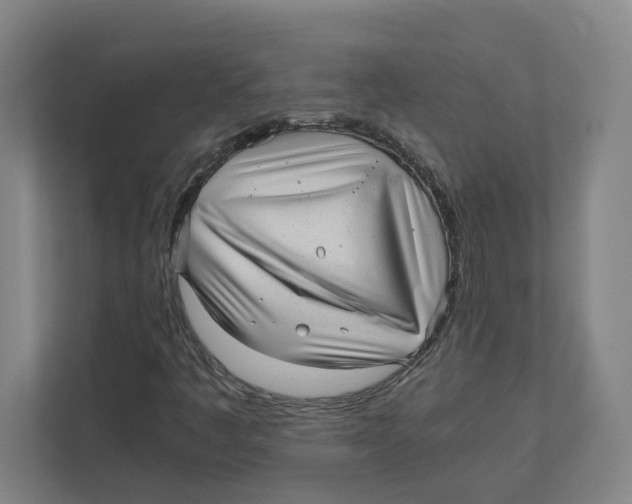 X0000111851445200908201227