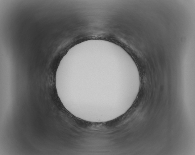 X0000111851447200908201227