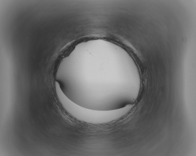 X0000111851448200908201227