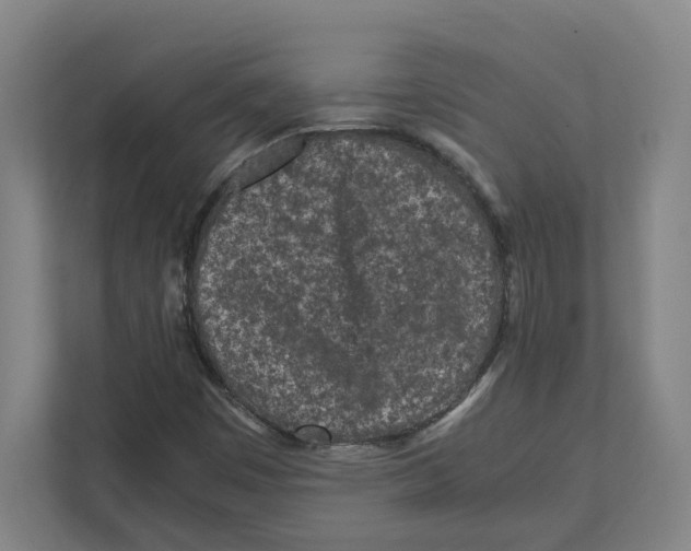 X0000111851449200908201227