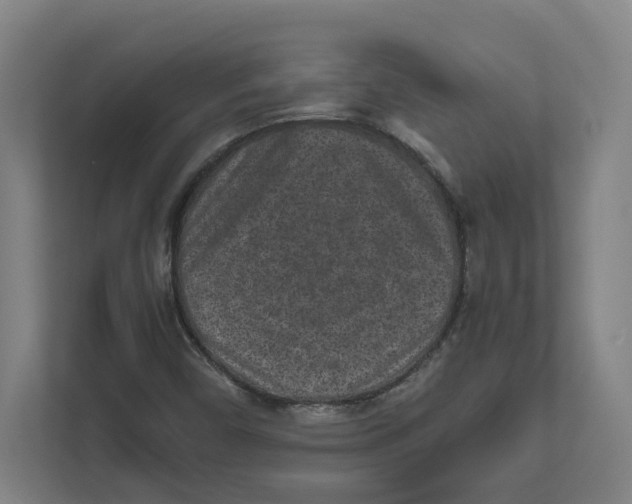 X0000111851450200908201227