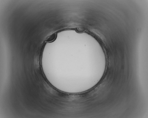 X0000111851451200908201227