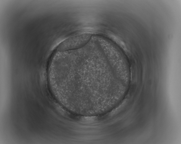 X0000111851453200908201227