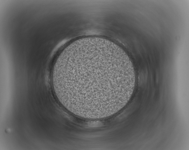 X0000111851454200908201227