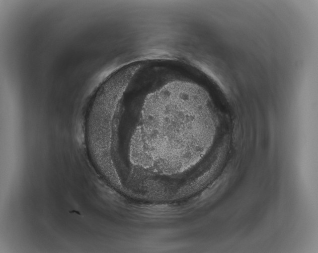 X0000111851455200908201227