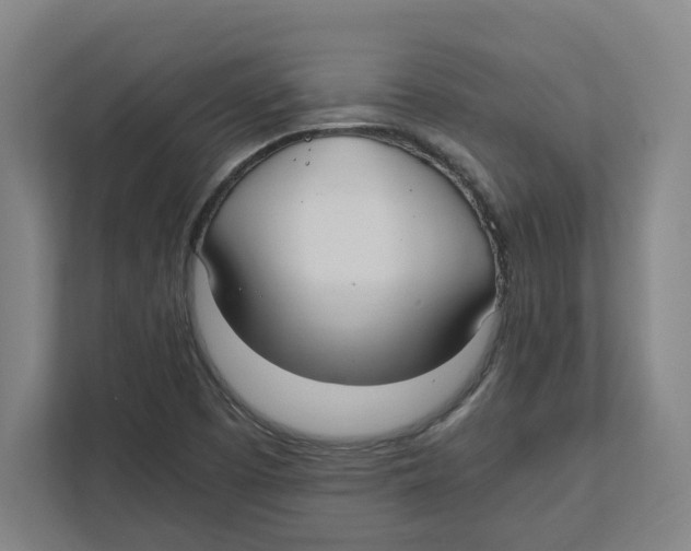 X0000111851457200908201227