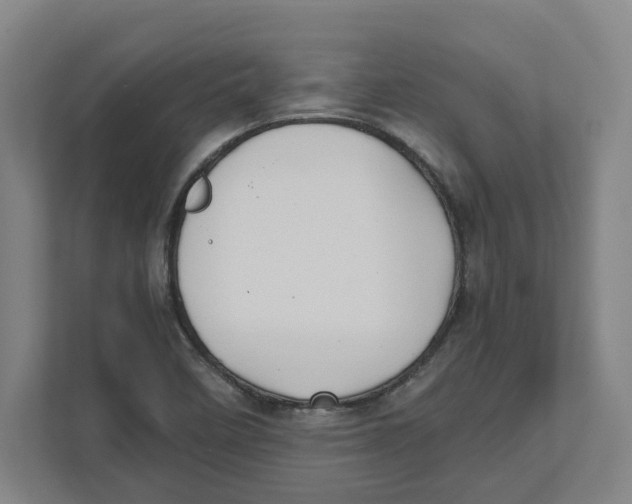 X0000111851458200908201227