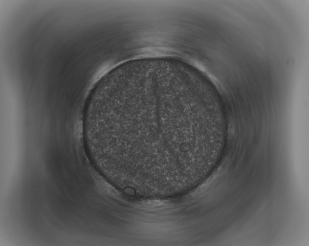 X0000111851459200908201227