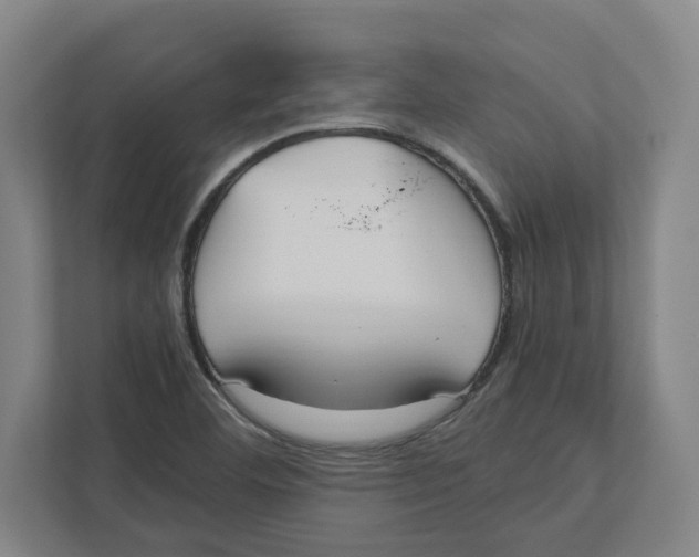 X0000111851460200908201227