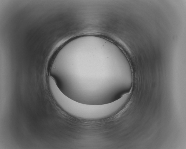 X0000111851461200908201227