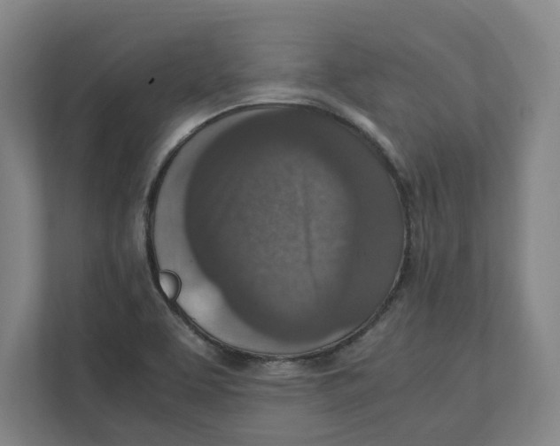 X0000111851463200908201227