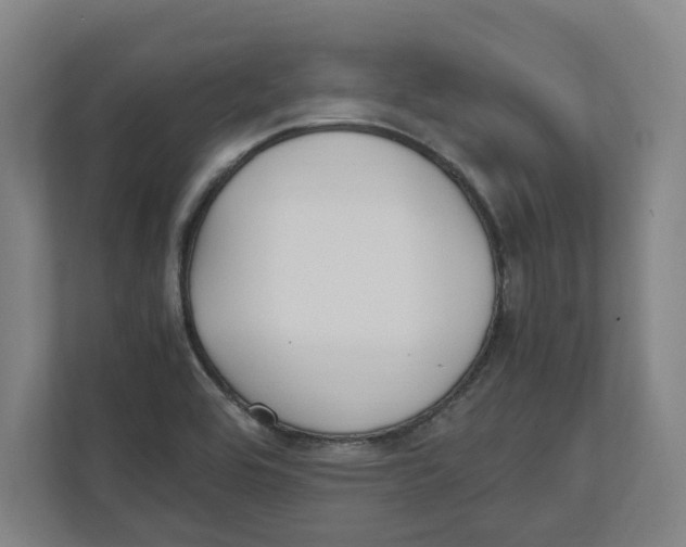 X0000111851464200908201227