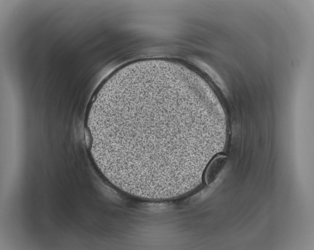 X0000111851465200908201227
