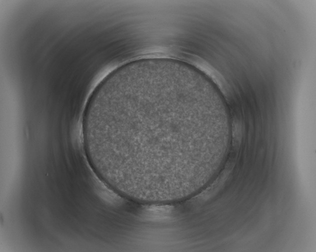 X0000111851466200908201227