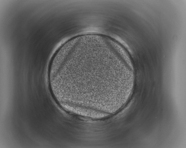 X0000111851469200908201227