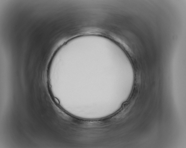 X0000111851471200908201227