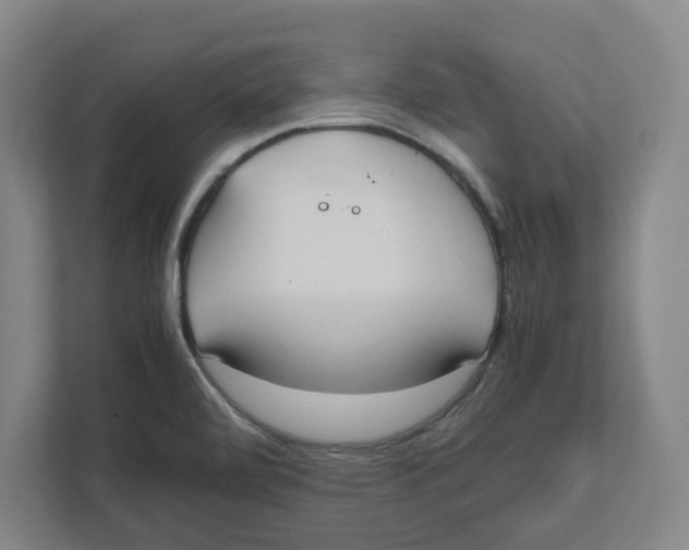 X0000111851472200908201227