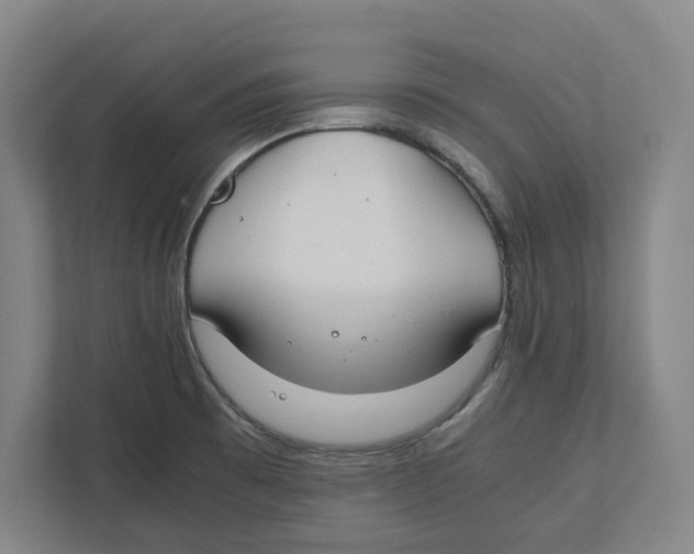 X0000111851473200908201227