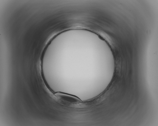 X0000111851476200908201227