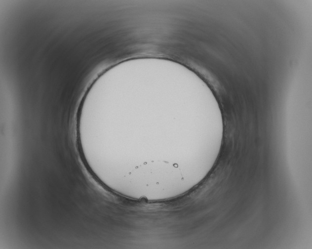 X0000111851479200908201227