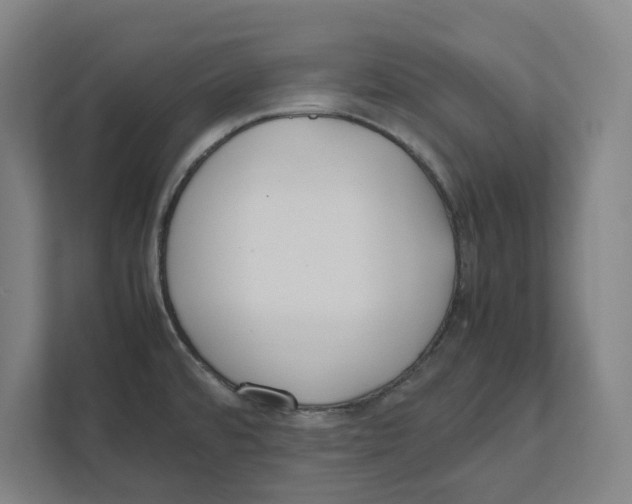 X0000111851480200908201227