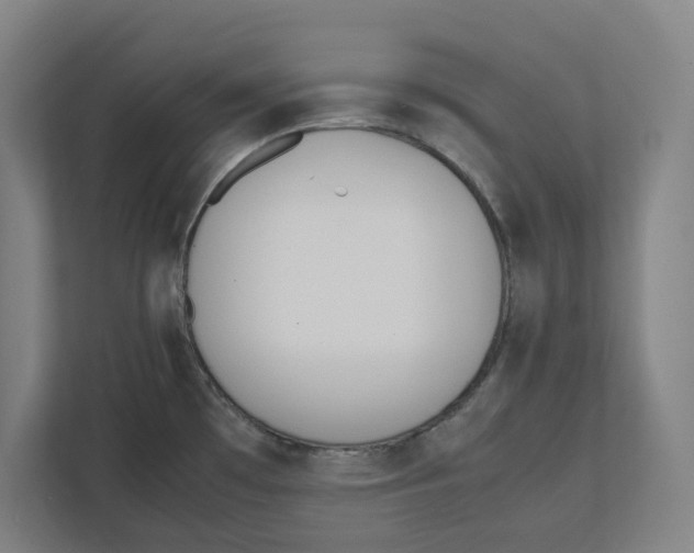 X0000111851481200908201227