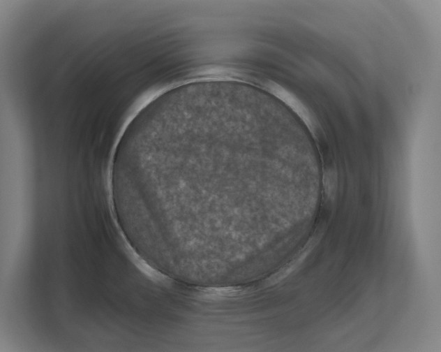 X0000111851482200908201227