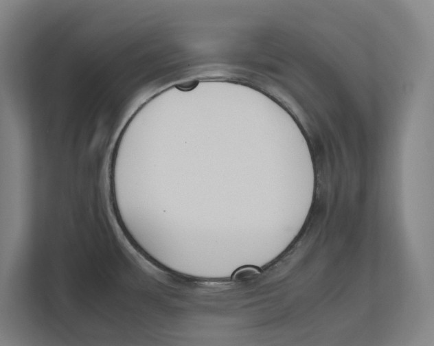 X0000111851483200908201227