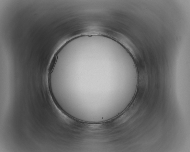 X0000111851484200908201227