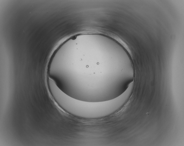 X0000111851485200908201227