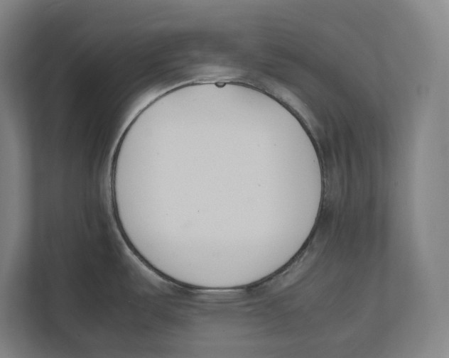 X0000111851487200908201227