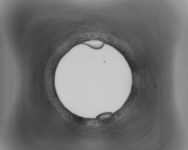 X0000111851489200908201226