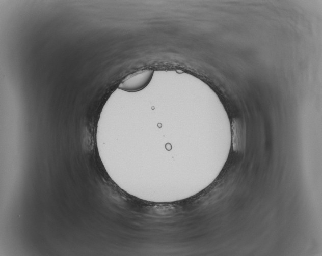 X0000111851491200908201226